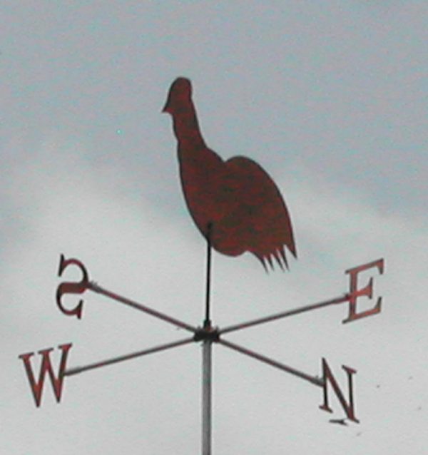 sindh-club-wind cock vane